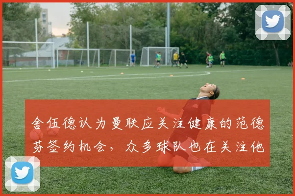 舍伍德认为曼联应关注健康的范德芬签约机会，众多球队也在关注他