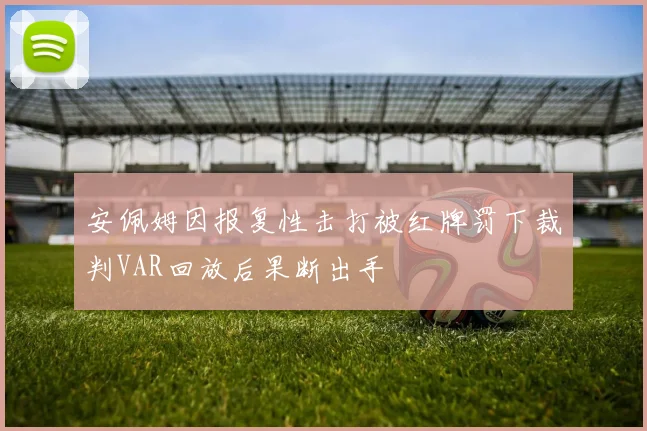 安佩姆因报复性击打被红牌罚下裁判VAR回放后果断出手
