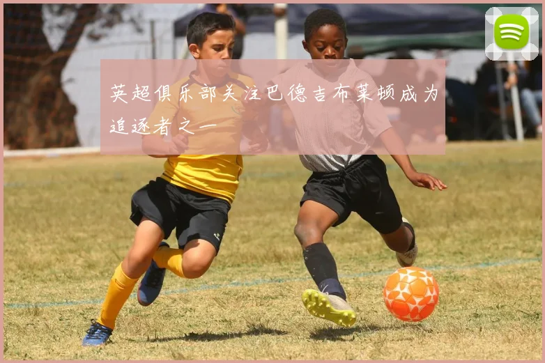 英超俱乐部关注巴德吉布莱顿成为追逐者之一