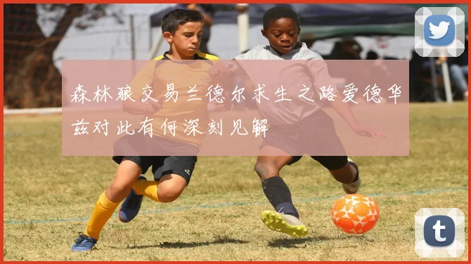 森林狼交易兰德尔求生之路爱德华兹对此有何深刻见解